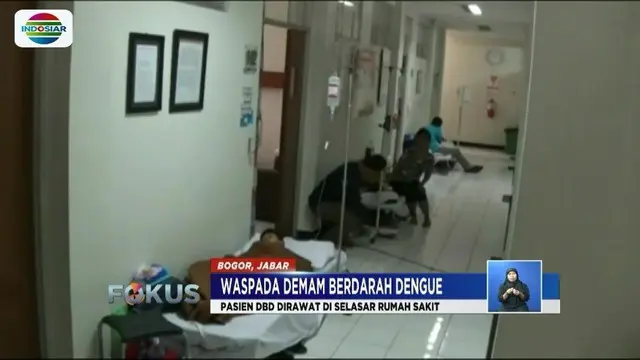 Meningkatnya jumlah penderita DBD di Kabupaten Bogor, Jawa Barat, membuat sejumlah pasien terpaksa dirawat di selasar RSUD Cibinong.
