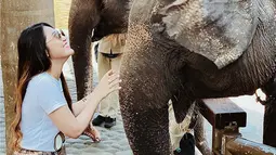 Saat di Bali, Via juga menyempatkan diri untuk mengunjungi Bali Zoo melihat-lihat Gajah Lampung. Bak memahami bahasanya, Via tampak seperti tengah berkomunikasi dengan gajah-gajah tersebut. Tak heran Via terlihat sumringah dalam jepretan foto yang ia unggah di Instagram. (Liputan6.com/IG/viavallen)