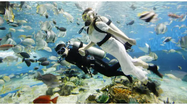 courtesy of metro.co.uk