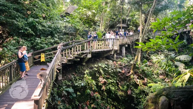 Hutan konservasi