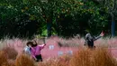 Sejumlah wanita berswafoto di tengah hamparan rumput muhly merah jambu di Taman Olimpiade di Seoul, Korea Selatan (15/10/2020). Korsel memutuskan untuk menurunkan pedoman jaga jarak sosial tiga tingkatnya ke level terendah setelah angka harian kasus COVID-19 relatif rendah.  (Xinhua/Wang Jingqiang)