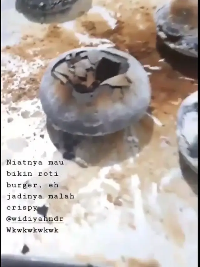 7 Potret Masakan Gagal ala Netizen, Dari Gosong Hingga Sekeras Batu