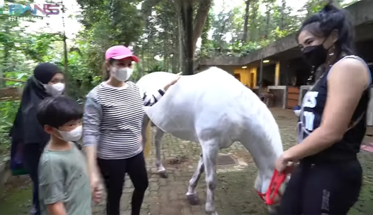 Kuda baru Nagita Slavina (Youtube/ Rans Entertainment)