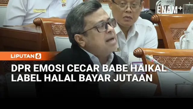 Komisi VIII DPR Cecar Babe Haikal, Emosi Ungkap Temuan Sertifikasi Halal Bayar Jutaan