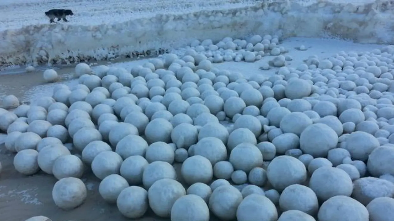 Ribuan Salju Raksasa Penuhi Pantai Siberia, Fenomena Aneh?