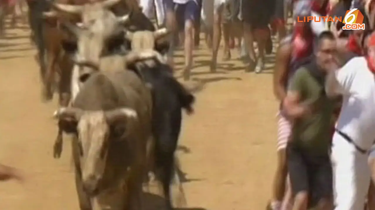 festival-banteng-130826d.jpg