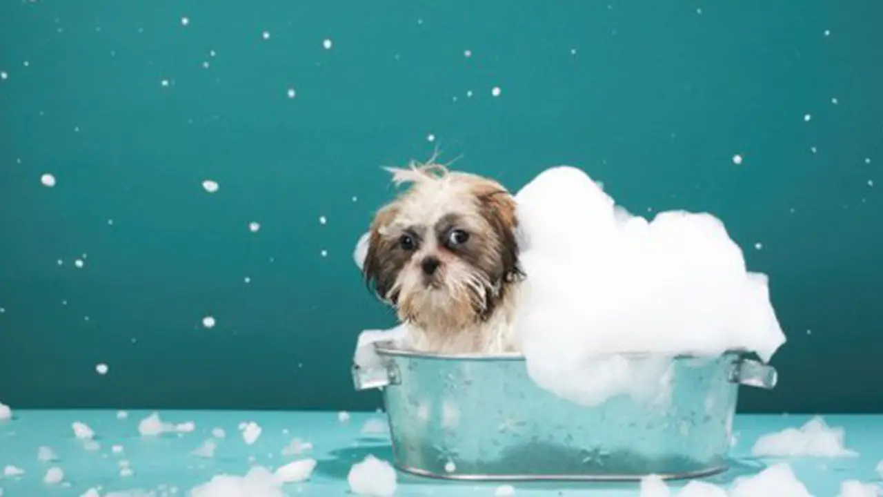 Foto: copyright Thinkstockphotos.com