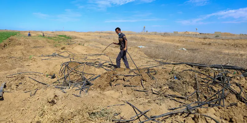 Kondisi Lahan Pertanian Petani Palestina Setelah Dirusak Tentara Israel