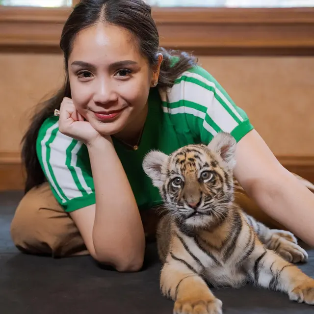 7 Potret Nagita Slavina Bareng Cipung Main dengan Anak Harimau Ini Bikin Gemas
