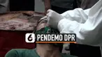 pendemo covid thumbnail