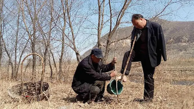 Photo: Copyright elitedaily.com