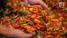 Pedagang cabai merah merapikan dagangannya di Pasar Jati, Jakarta, Kamis (10/3/2022). Harga cabai rawit merah di Pasar Jati mengalami kenaikan dari harga normal Rp 35.000 per kilogram, saat ini Rp 55.000 - Rp 60.000 per kilogram. (Faizal Fanani/Liputan6.com)