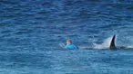 Mick Fanning juara dunia 3 kali selancar selamat dari serangan ikan hiu saat menjalani turnamen di Afrika Selatan.