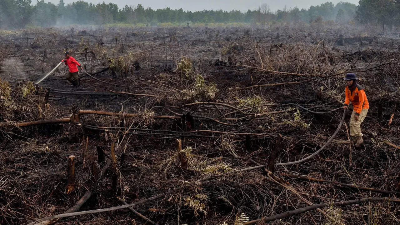 Kebakaran Landa Lahan Gambut di Riau