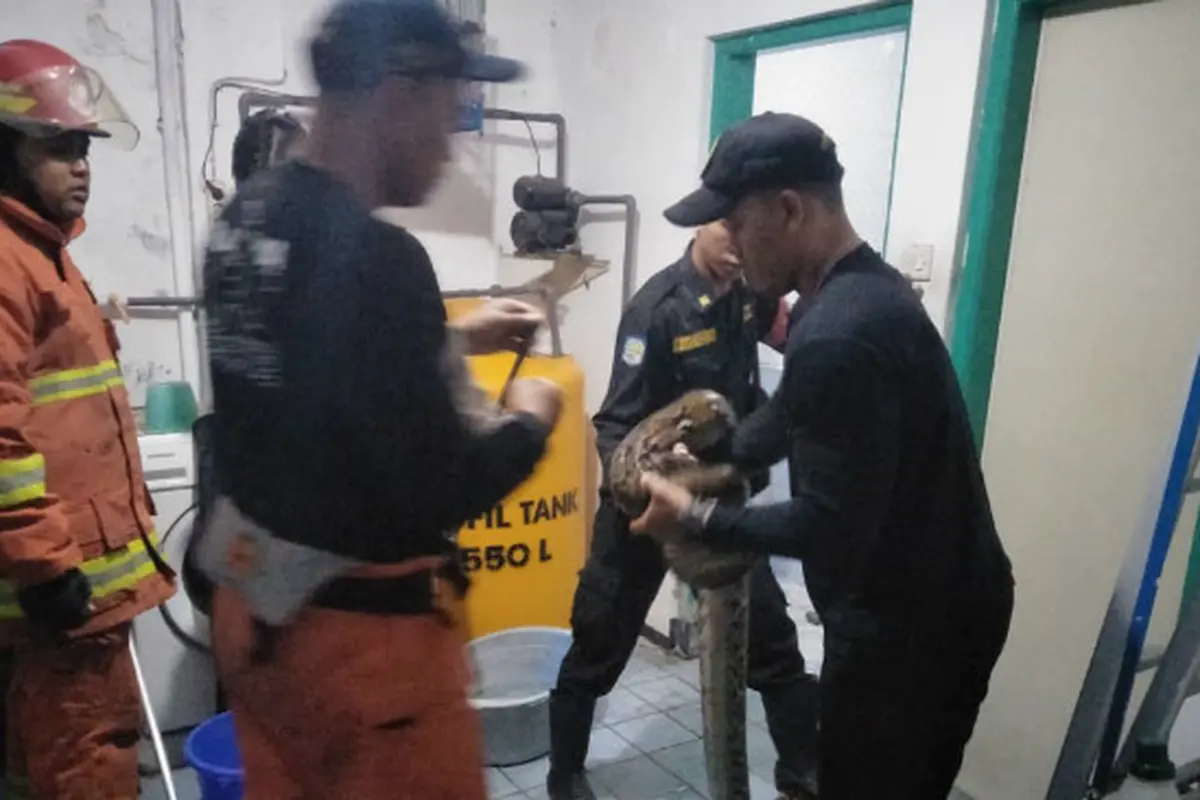 (Foto: Liputan6.com/Dian Kurniawan)