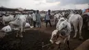 Calon pembeli memeriksa seekor sapi di pasar ternak yang disiapkan untuk hewan kurban pada Hari Raya Idul Adha di Karachi, Pakistan pada Jumat (10/7/2020). Idul Adha merupakan salah satu hari raya umat Islam di dunia yang identik dengan penyembelihan hewan kurban bagi yang mampu. (Asif HASSAN/AFP)