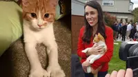 Kucing Milik PM Cantik Selandia Baru Mendadak Tenar di Dunia Maya