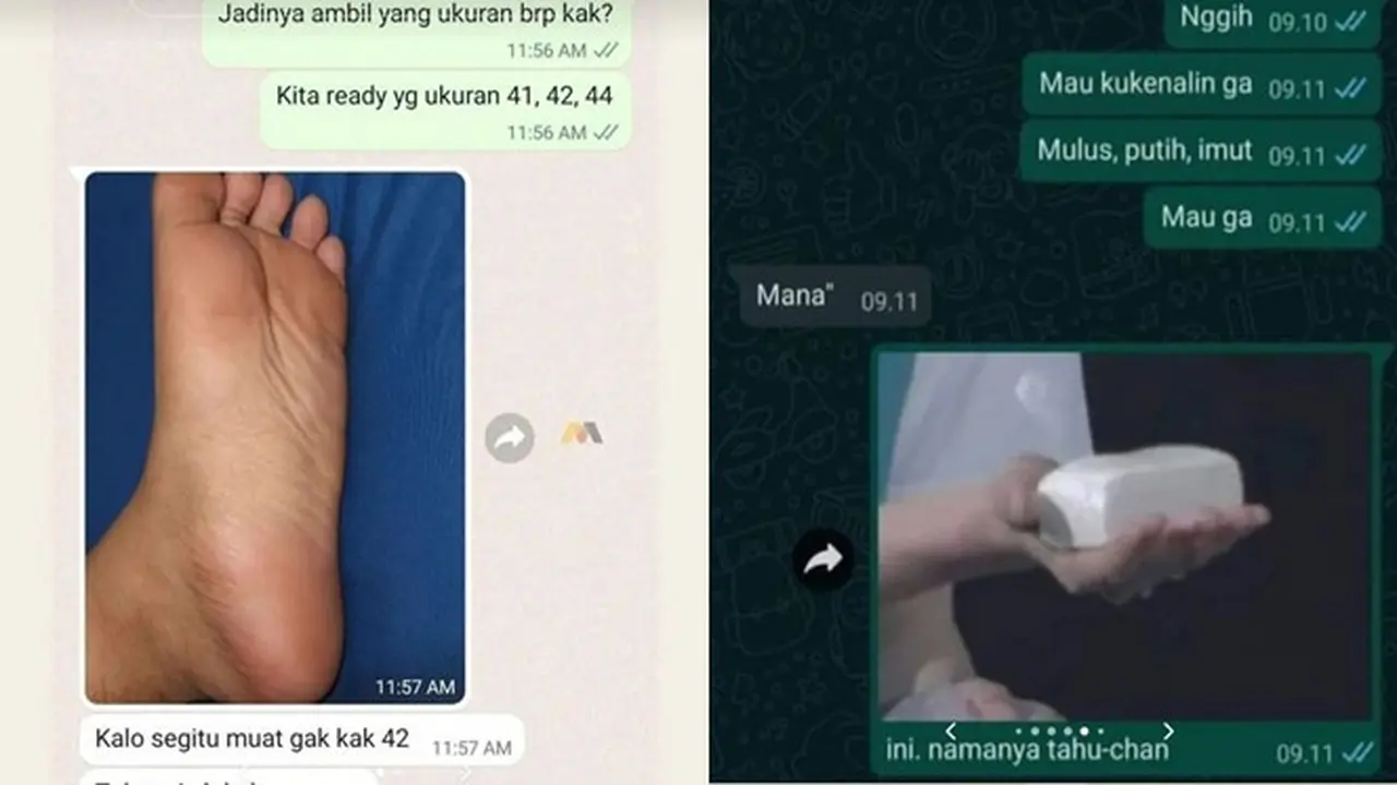 6 Balasan Chat Pakai Gambar Ini Absurd Banget, Jadi Bingung Balasnya