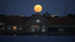 Bulan purnama terbesar atau supermoon menghiasi langit Kopenhagen, Denmark, Senin (19/8/2024). (Thomas Traasdahl/Ritzau Scanpix via AP)