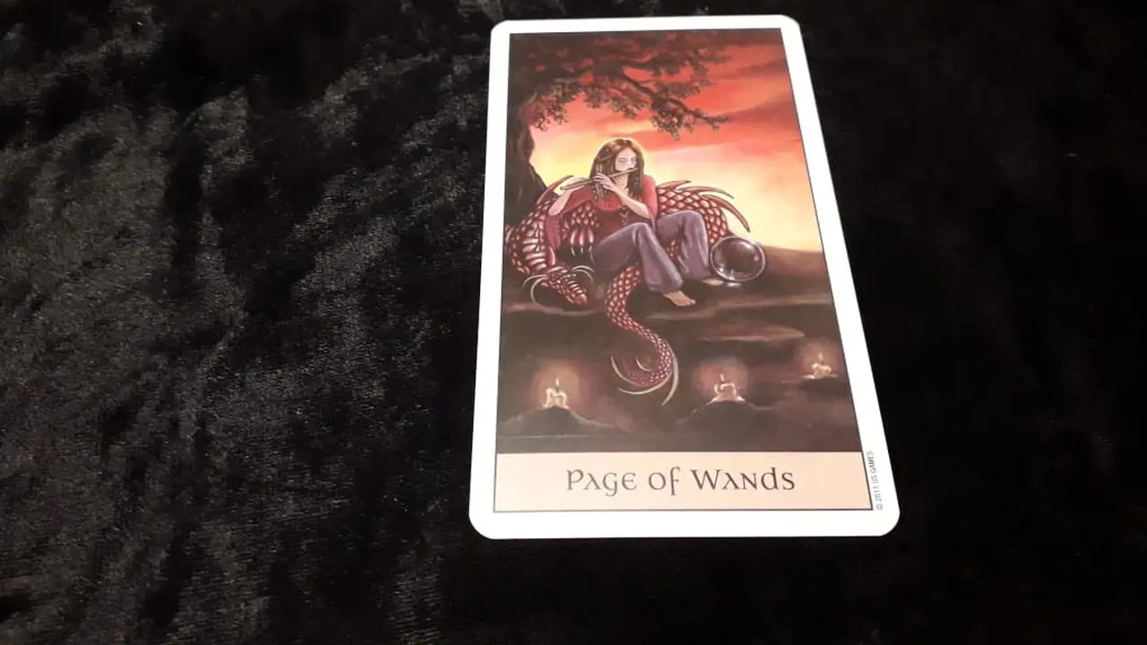 Tarot Hari Ini