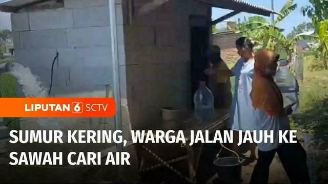 Di musim kemarau, krisis air bersih melanda sejumlah wilayah di Indonesia. Seperti di Kabupaten Magetan, Jawa Timur, imbas keringnya air sumur, sebagian warga terpaksa berjalan jauh mencari air di sawah untuk memenuhi kebutuhan sehari-hari.