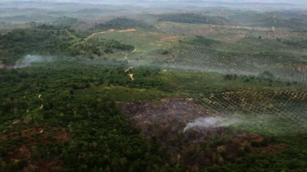 Kebakaran Lahan