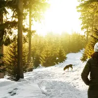 Apakah kamu salah satu zodiak beruntung di bulan November ini? Yuk, simak artikelnya berikut ini. (Sumber foto: Daniel Frank/Unsplash.com)