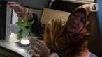Petugas  memeriksa sampel tanaman milik warga di Mobil Klinik Tanaman, kawasan Cempaka Putih, Jakarta, Kamis (9/3/2023). Pelayanan Mobil Klinik Tanaman tersebut diadakan oleh UPT Pusat Pengembangan Benih dan Proteksi Tanaman Dinas KPKP Provinsi DKI Jakarta. (Liputan6.com/Herman Zakharia)