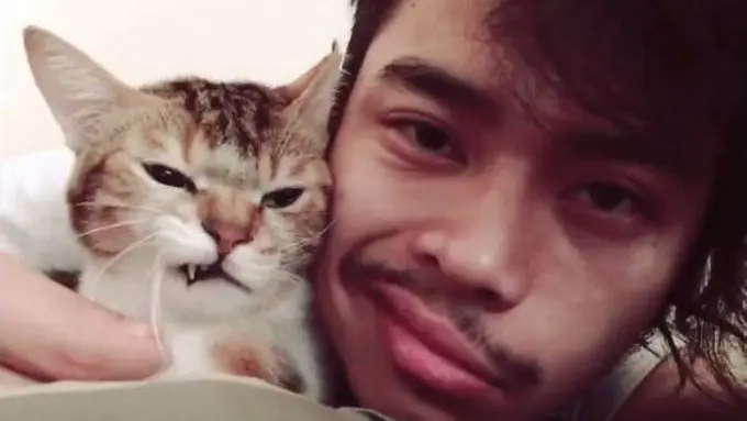 Kelakuan Kocak Pemilik Kucing Ini Bikin Kamu Lupa Rasanya Sedih