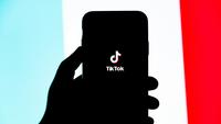 TikTok Outage: Thousands of Users Complain About Outages, Here Are the Details and the Company's Response