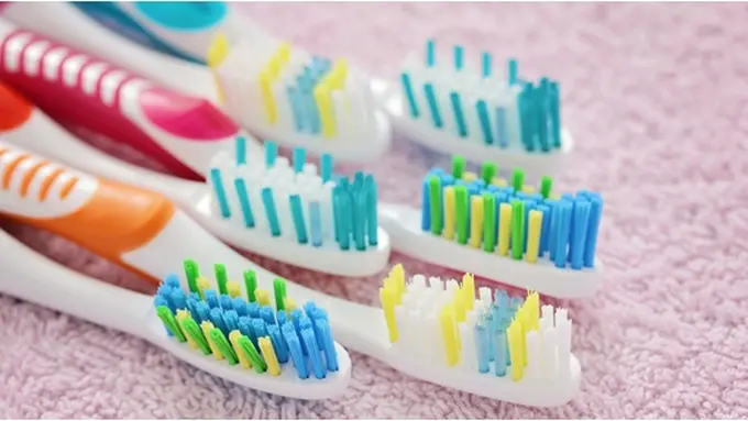 copyright by Shutterstock.com