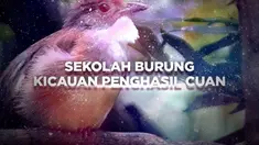 Rachmad Saleh senang memelihara hewan, terutama burung. Hal ini sudah digemarinya sejak ia masih kecil. Di samping itu, dia juga menyukai tantangan dan senang mempelajari hal baru. 

Siapa sangka, ternyata kini Rachmad bisa memiliki usaha sekolah u...