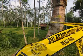 Lokasi Pembunuhan disertai pemerkosaan yang menimpa CNA 7 tahun di Desa Kalibarumanis, Banyuwangi (Istimewa)