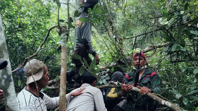 Buru Harimau 2 Bulan, Petugas Hanya Bisa Menatap Saat Berpapasan