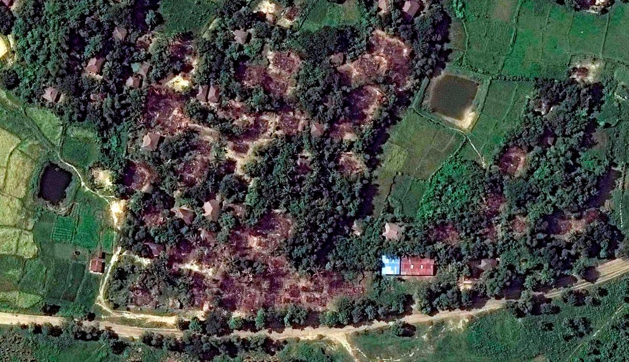 Desa Wa Peik sesudah dibakar oleh militer Myanmar pada 10 November 2016. Kerusuhan antara umat mayoritas Buddha dan minoritas Rohingya tercatat telah memakan puluhan korban jiwa. (Copyright 2016 Human Rights Watch/REUTERS)