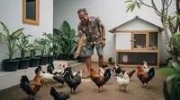 4 Usaha Ternak Ringan untuk Pensiunan Usia 60+, Mudah Dijalankan di Rumah dengan Modal Kecil