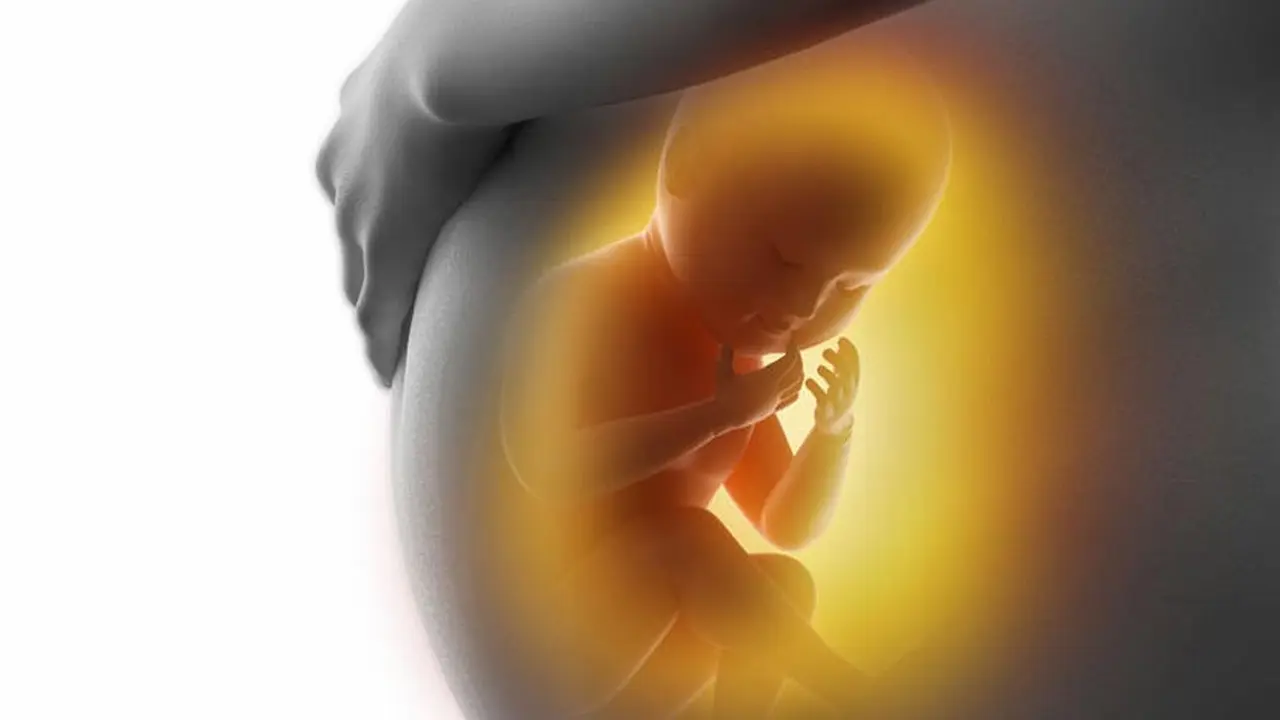 Ternyata Bayi Sudah Belajar Sejak dalam Kandungan