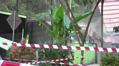 Pemilik yang menyaksikan bangunan rumahnya ambruk hanya bisa pasrah dan sedih menyaksikan bangunan yang selama ini mereka tempati sudah tak tersisa.