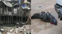 Normalisasi Kali Gedong hingga Buaya Raksasa Berkeliaran di Mal