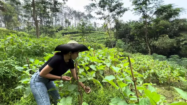 Angelina Ci di Rumah Hutan