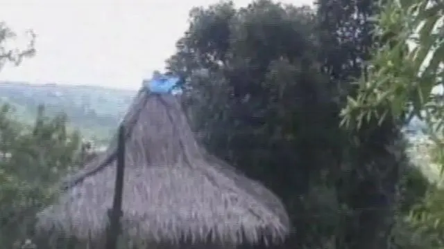 [VIDEO] Pemilik Vila di Bogor Bongkar Sendiri Bangunannya