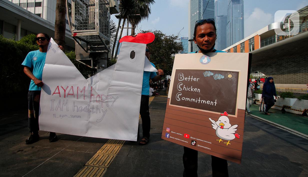 Koalisi Ayam Sejahtera merupakan komunitas yang beranggotakan WAP, Yayasan Lembaga Konsumen Indonesia (YLKI), Animal Friends Jogja,  Animal Don’t Speak Human,  SKN, dan kelompok relawan lainnya. (Liputan6.com/Angga Yuniar)