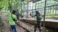 Heboh Kabar Taman Kota Cawang Diduga jadi Tempat Prostitusi, Camat Buka Suara