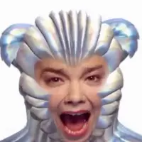 Bjork (via YouTube)