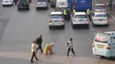 Akibat ulah pejalan kaki yang menyeberang sembarangan, arus lalu lintas menjadi macet, Jakarta, (26/9/14). (Liputan6.com/Johan Tallo)