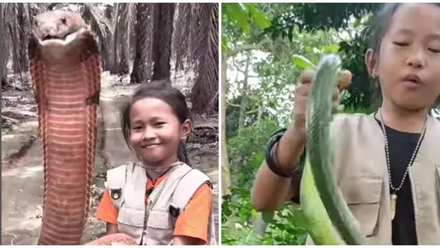 Bikin Merinding, Bocah Ini Mampu Taklukkan Ular Cincin Emas hingga King Cobra