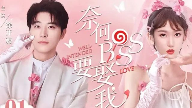 Well Intended Love: Cinta, Penyakit, dan Pernikahan Kontrak