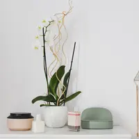 Ilustrasi parfum | unsplash.com/@thanospal dan unsplash.com/@williambout