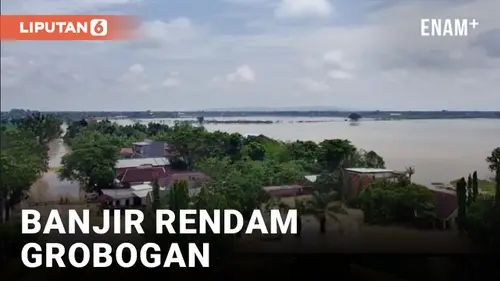VIDEO: Ribuan Rumah dan Puluhan Hektar Sawah Terendam Banjir di Grobogan Jawa Tengah