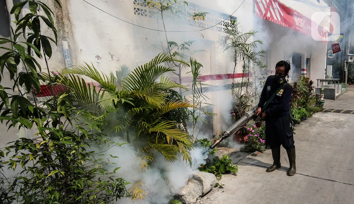 Petugas melakukan pengasapan atau fogging di kawasan perumahan Jalan Delima Raya, Jakarta Barat, Senin (25/10/2021). Pemyemprotan guna membasmi nyamuk Aedes aegypti yang menyebabkan penyakit demam berdarah (DBD) saat musim hujan di kawasan pemukiman warga. (Liputan6.com/Johan Tallo)
